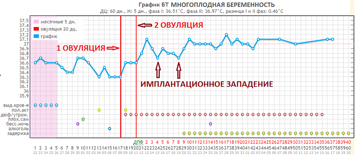 Можно ли забеременеть после овуляции - 4pregnancy.ru