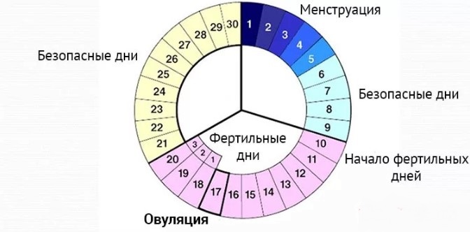 Признаки и симптомы овуляции у женщин. 4Pregnancy.Ru